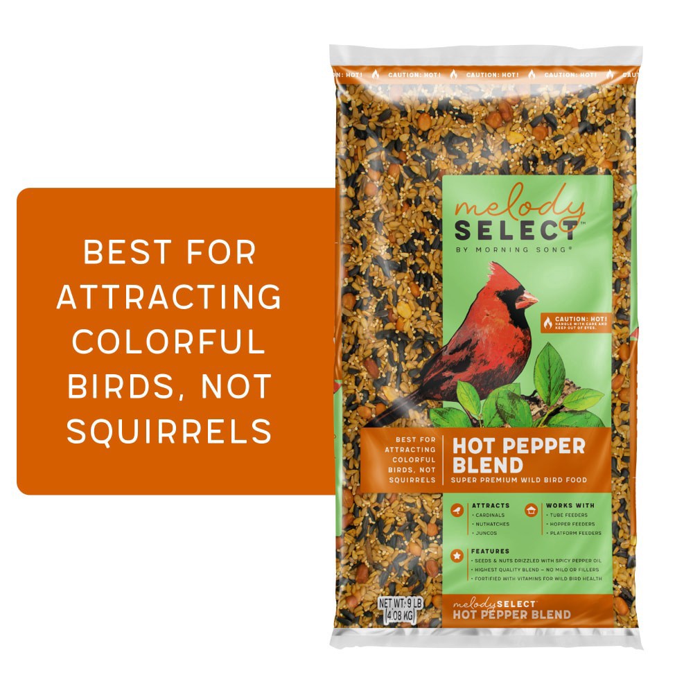 slide 1 of 1, Morning Song Melody Select Hot Pepper Blend Bird Food, 9 lb