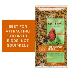 Morning Song Melody Select Hot Pepper Blend Bird Food