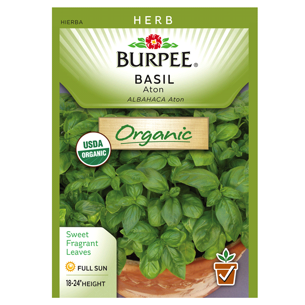 slide 1 of 1, Burpee Basil Alton Seeds, 1 ct