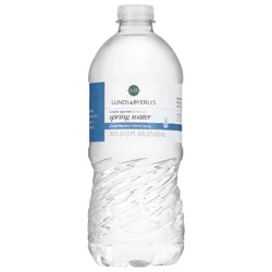 Lunds & Byerlys Spring Water 20 fl oz