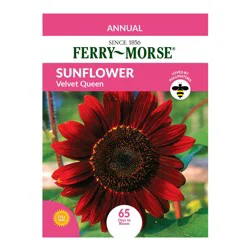 Ferry Morse Nasturtium
