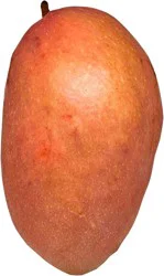 Fresh Pink Elephant Mango