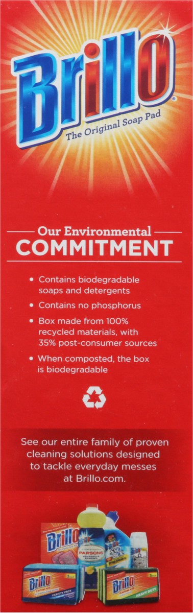 slide 8 of 9, Brillo Pads, 10 ct