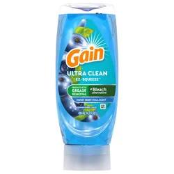 Gain EZ-Squeeze Dishwashing Liquid Dish Soap, Honeyberry Hula Scent, 14.7 fl oz