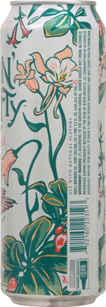 slide 2 of 9, ODELL BREWING CO Odell Brewing Sippin Pretty Fruited Sour - 19.2 fl oz. Can, 