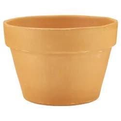 Clay Terra Cotta 8.25"