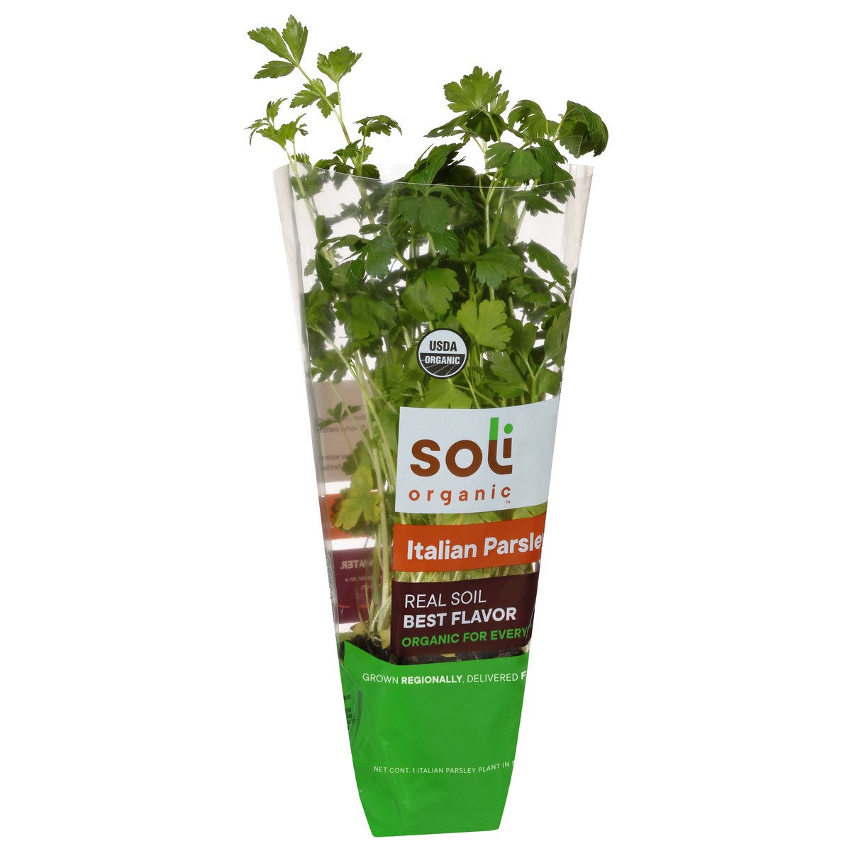 slide 7 of 10, Soli Organic Italian Parsley 1 ea, 1 ct