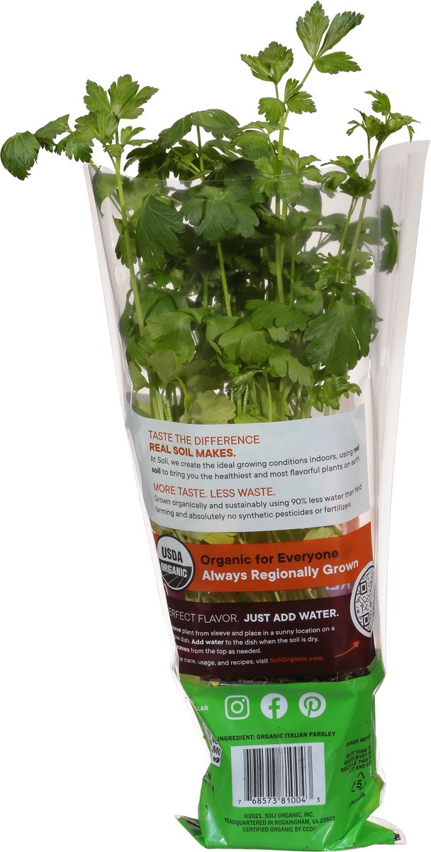 slide 9 of 10, Soli Organic Italian Parsley 1 ea, 1 ct