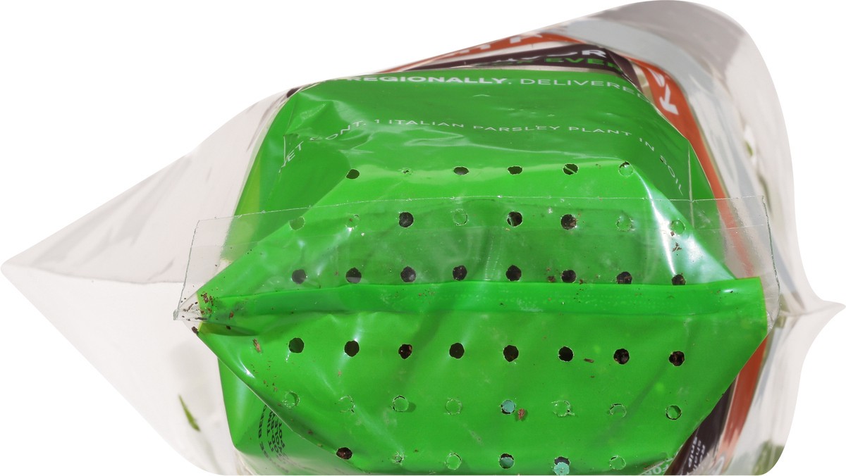 slide 3 of 10, Soli Organic Italian Parsley 1 ea, 1 ct