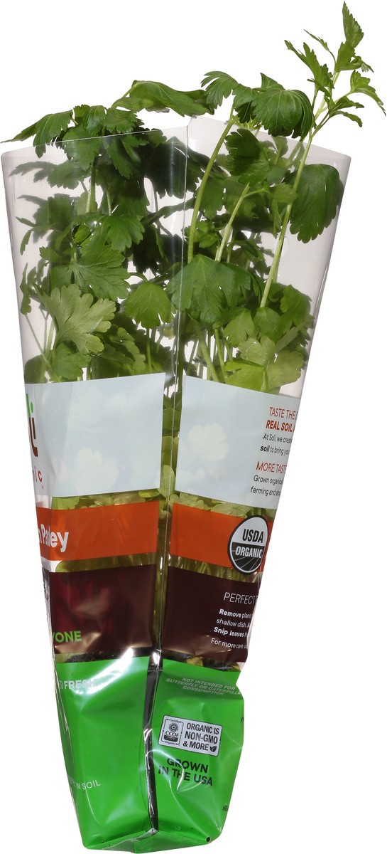 slide 2 of 10, Soli Organic Italian Parsley 1 ea, 1 ct