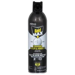 Raid Foaming Wasp & Hornet Killer, Fast Coverage Foam, 16.5 oz