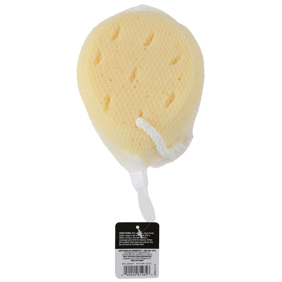 slide 3 of 3, Studio 35 Faux Sea Sponge, 1 ct