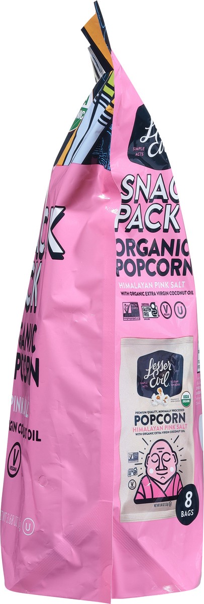 slide 8 of 9, LesserEvil Organic Himalayan Pink Salt Popcorn Snack Pack 8 ea, 8 ct