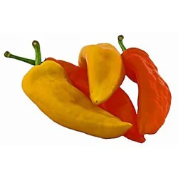 Barilla Bananas, Flower Bud