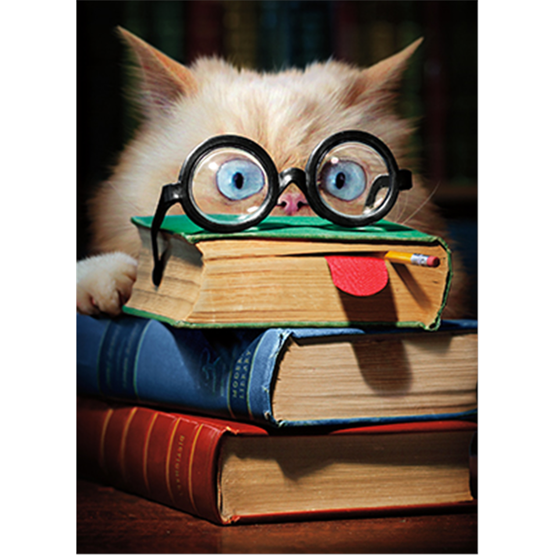 slide 1 of 1, Avanti Card Graduation Book Face Cat, 1 ct