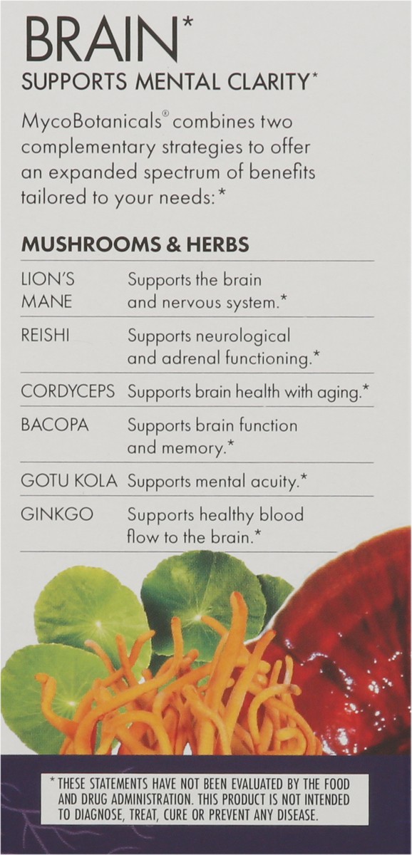 slide 9 of 12, Host Defense Mushrooms Mycobotanicals Brain 60 Capsules, 60 ct