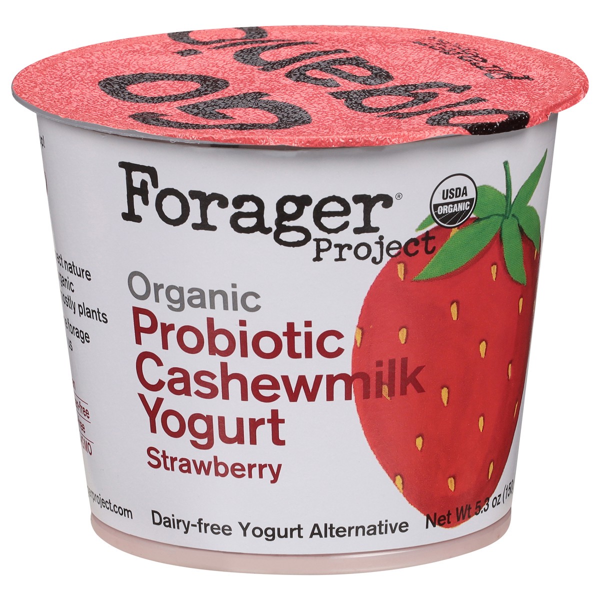 slide 4 of 4, Forager Project Dairy-Free Organic Probiotic Strawberry Cashewmilk Yogurt 5.3 oz, 5.3 oz