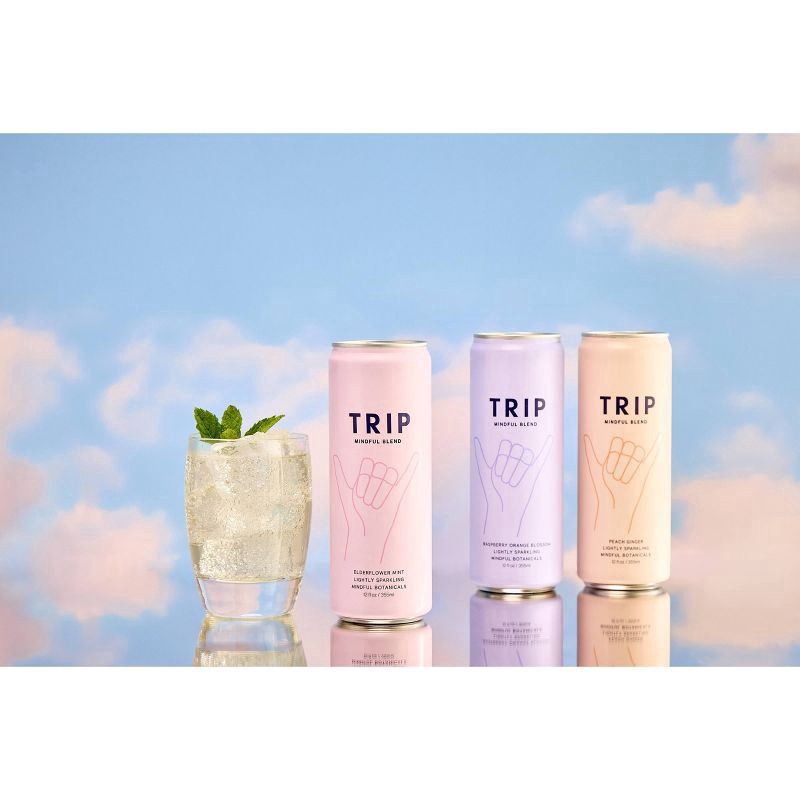 slide 2 of 5, Trip Mindful Blend Mindful Botanicals Elderflower Mint Lightly Sparkling Drink 12 fl oz, 12 fl oz