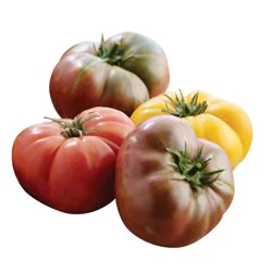 Heirloom Tomato