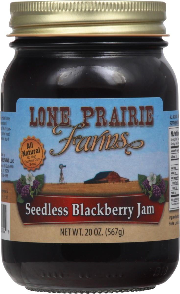 slide 4 of 9, Lone Prairie Farms Seedless Blackberry Jam 20 oz, 20 oz