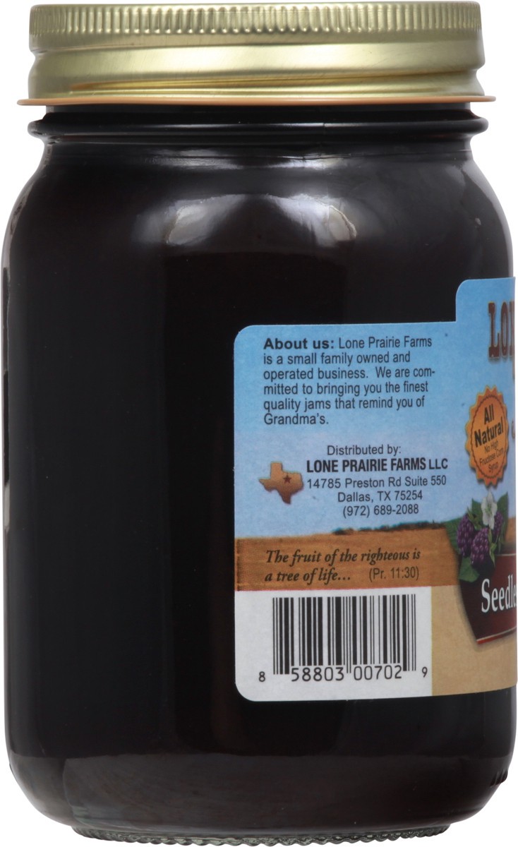 slide 2 of 9, Lone Prairie Farms Seedless Blackberry Jam 20 oz, 20 oz