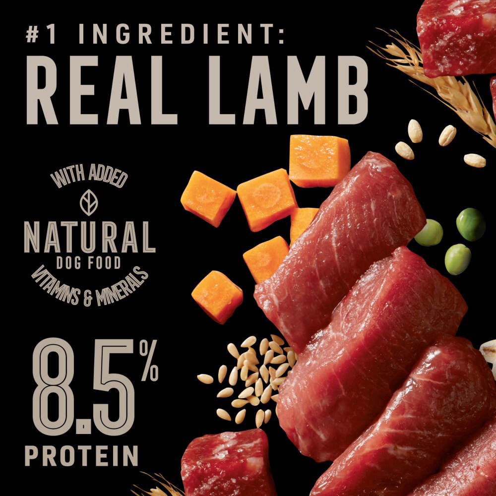 slide 6 of 6, Abound Wild Beginnings High Protein Red Meat Beef & Lamb Wet Dog Food, 13.2 oz