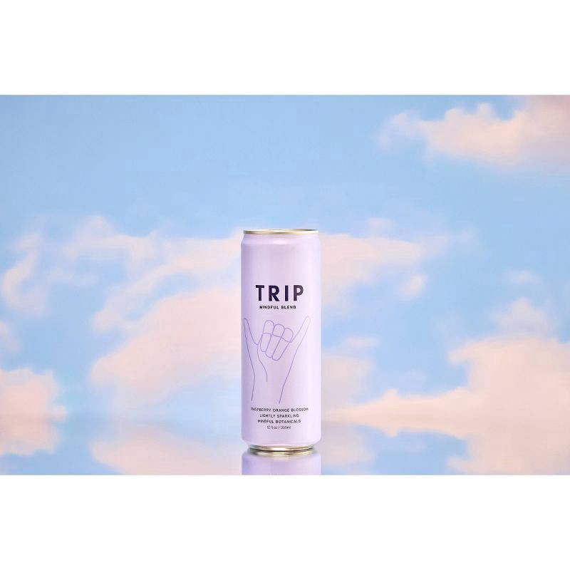 slide 2 of 5, Trip Mindful Blend Lightly Sparkling Raspberry Orange Blossom Mindful Botanicals 12 fl oz, 12 fl oz