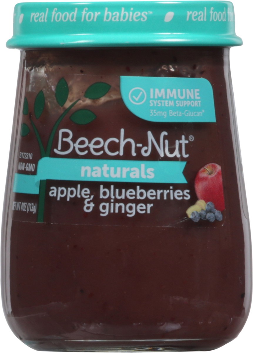 slide 5 of 9, Beech-Nut Naturals Apple, Blueberries & Ginger 4 oz, 4 oz