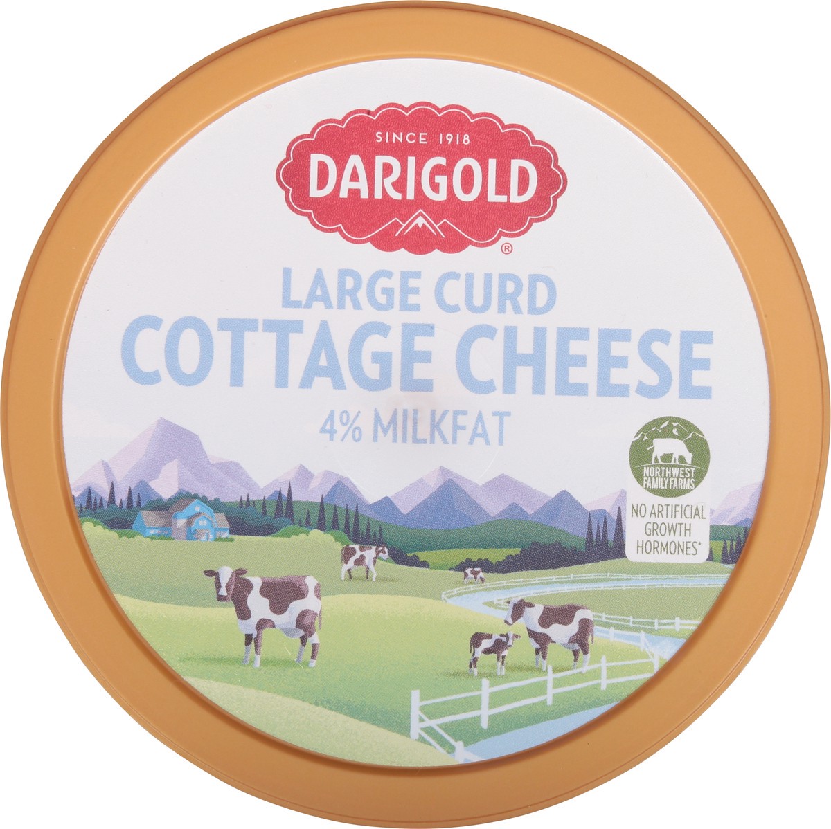 slide 9 of 9, Darigold 4% Milkfat Whole Large Curd Cottage Cheese 24 oz, 24 oz