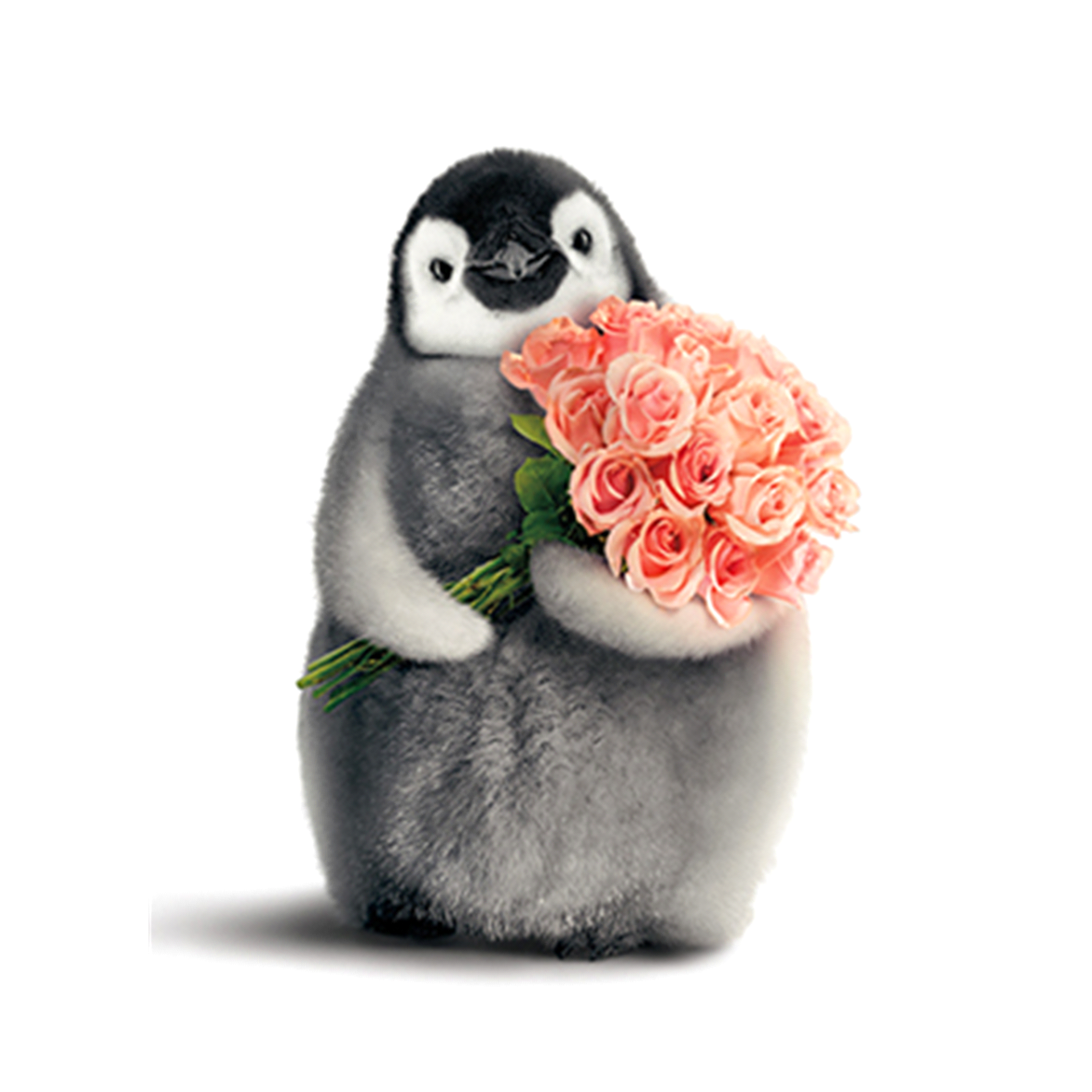 slide 1 of 1, Avanti Card Valentine Penguin With Flower Bouquet, 1 ct