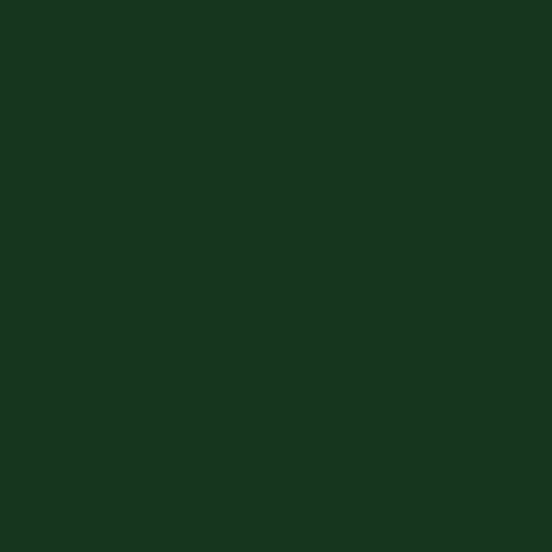 slide 2 of 13, Rust-Oleum 12oz 2X Painter's Touch Ultra Cover Gloss Spray Paint Dark Green, 12 oz