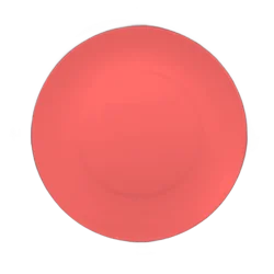 Everyday Living Fresh Salmon Serve Platter - 1 ct