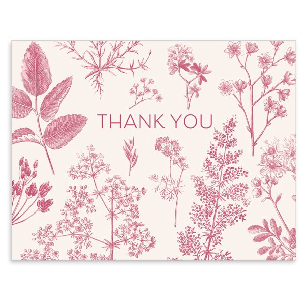 slide 6 of 6, Punch Studio Thank You Card Assortment, 5-1/2"" X 4-1/4"", Botanical Multiplier, Box Of 50 Cards, 50 ct
