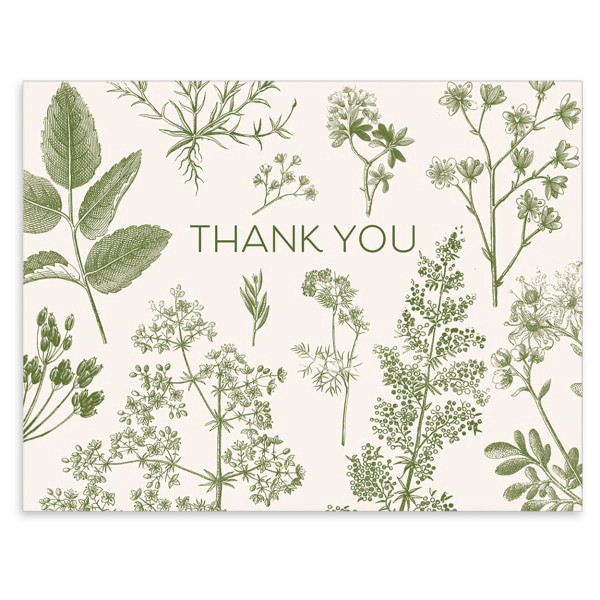 slide 2 of 6, Punch Studio Thank You Card Assortment, 5-1/2"" X 4-1/4"", Botanical Multiplier, Box Of 50 Cards, 50 ct