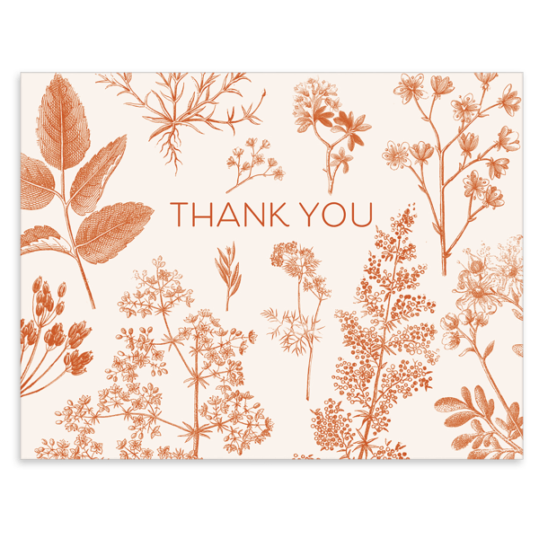 slide 5 of 6, Punch Studio Thank You Card Assortment, 5-1/2"" X 4-1/4"", Botanical Multiplier, Box Of 50 Cards, 50 ct