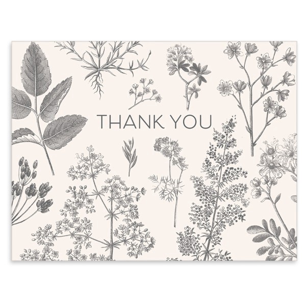 slide 4 of 6, Punch Studio Thank You Card Assortment, 5-1/2"" X 4-1/4"", Botanical Multiplier, Box Of 50 Cards, 50 ct