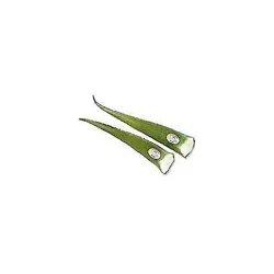 Aloe Vera Leaves