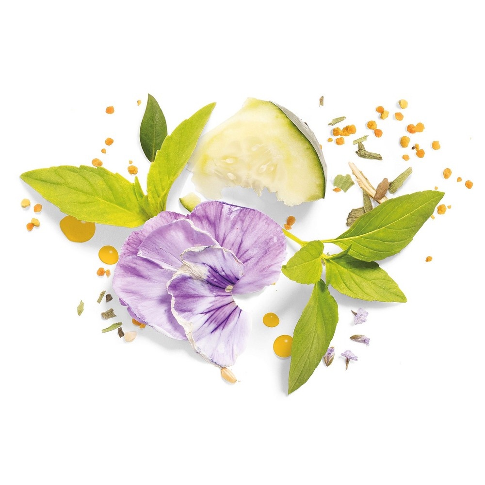 slide 4 of 7, Herbal Essences Bio Renew Revitalize Cucumber And Green Tea Dry Shampoo, 4.9 fl oz
