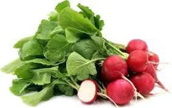 Royal Red Fresh Trimmed Radishes