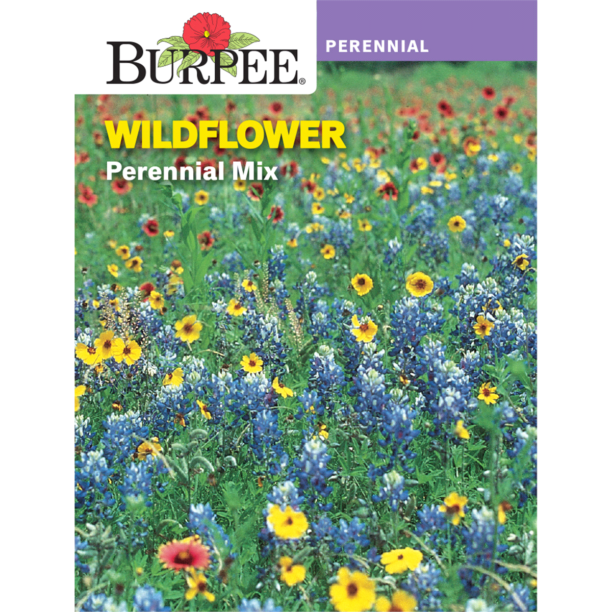 slide 1 of 5, Burpee Wildflower Perennial Mix Seeds, 1 ct