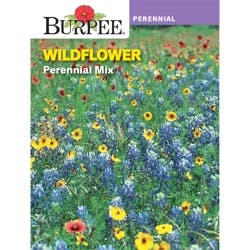 Burpee Wildflower Perennial Mix Seeds