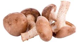 Fresh Bulk Shiitake Mushrooms