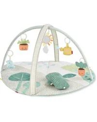 Skip Hop SKIP*HOP Garden Oasis Activity Gym