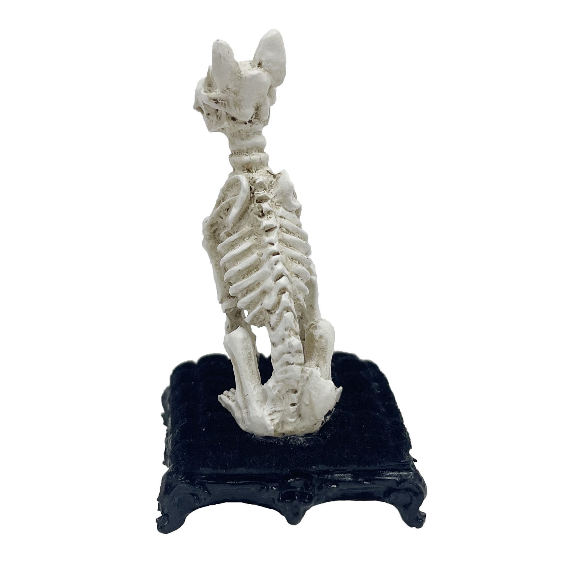 slide 4 of 4, Mini Skeleton Dog By Ashland, 1.5 in x 1.25 in x 2.4 in