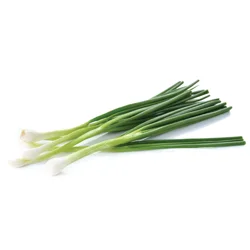 Onions Green Iceless