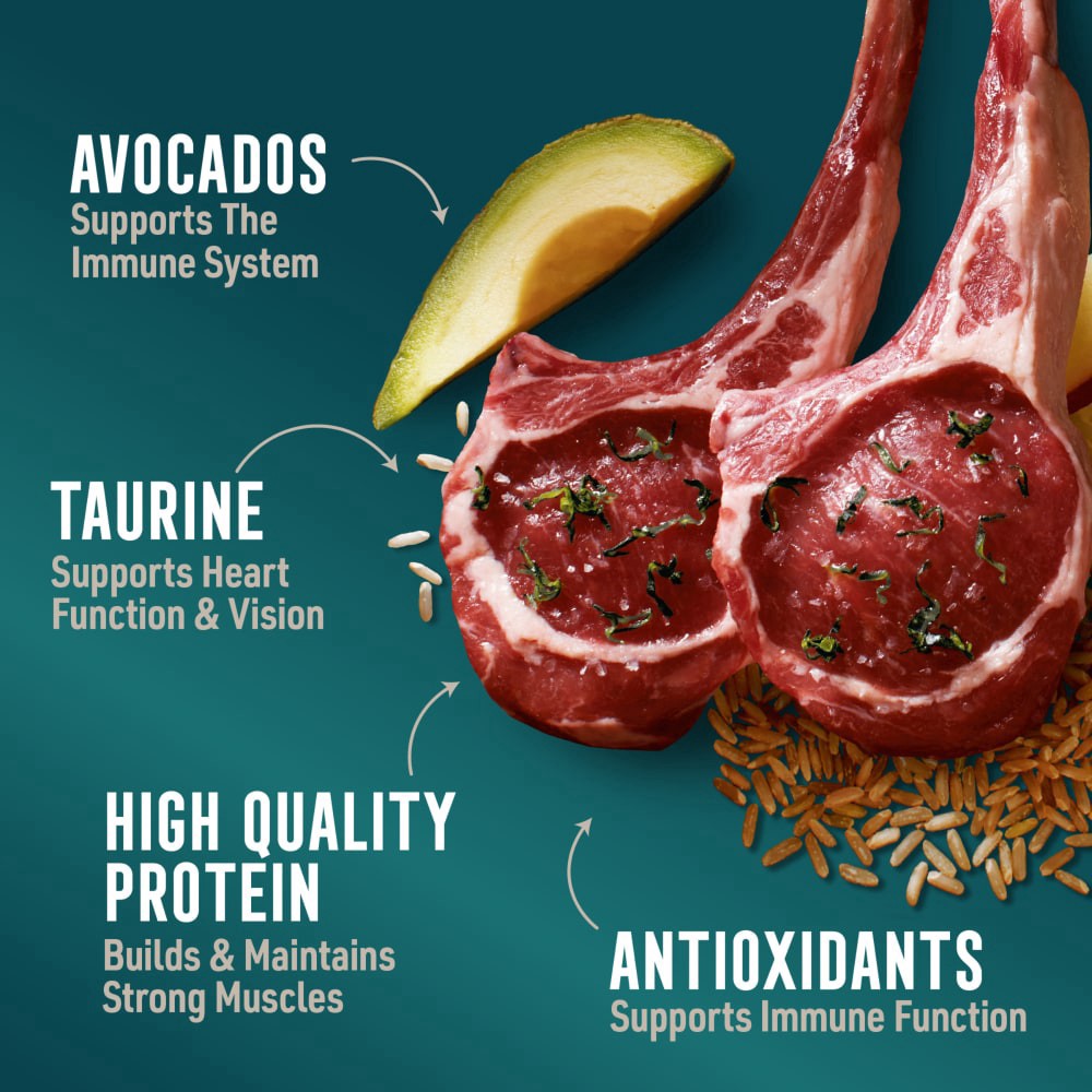 slide 2 of 6, Abound Lamb & Brown Rice Recipe With Avocado Dry Dog Food, 15 lb