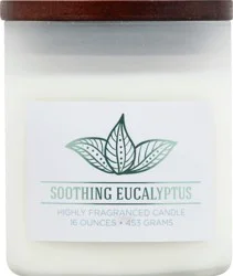 Wellness Candle 1 ea