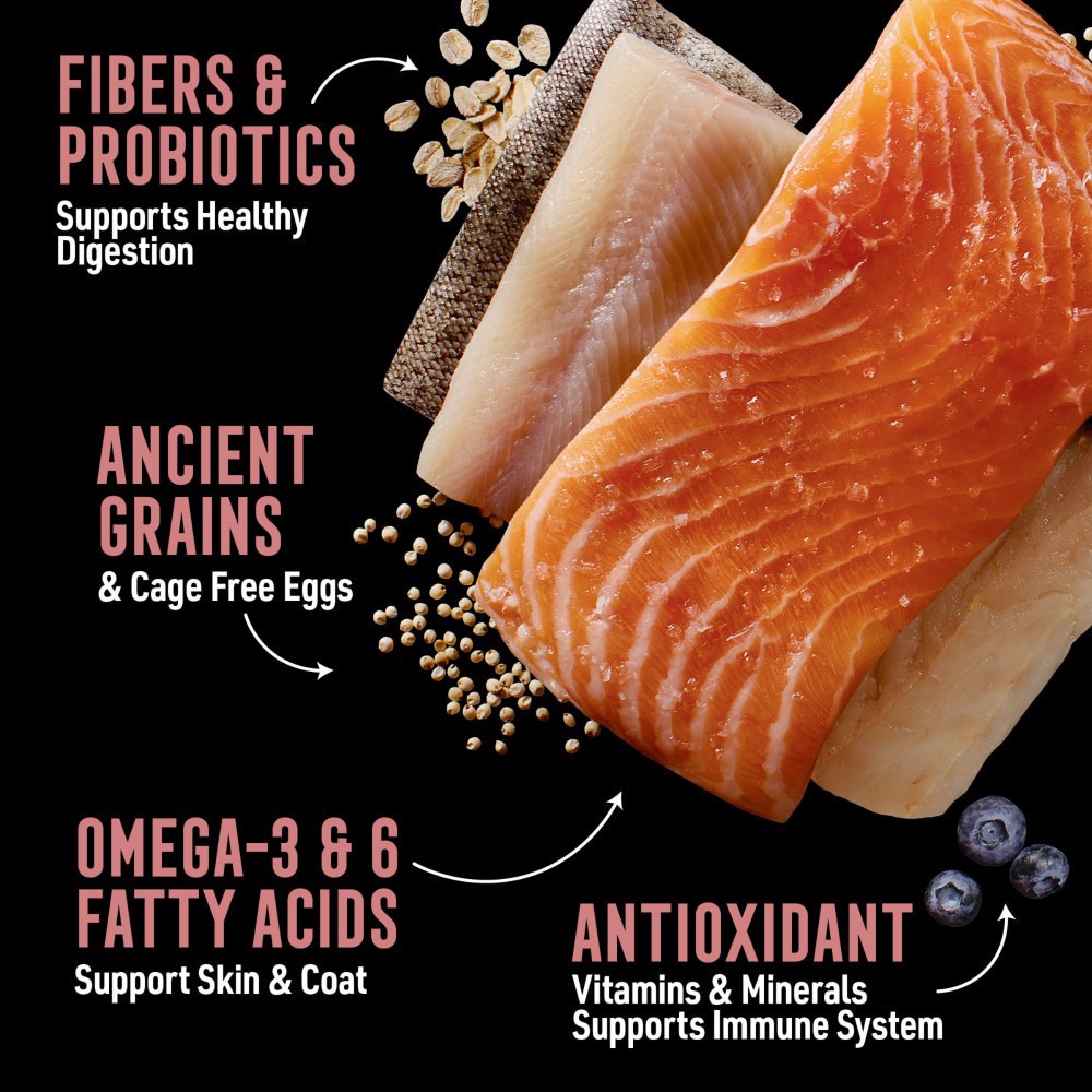 slide 6 of 6, Abound Wild Beginnings With Salmon Whitefish & Trout Dry Dog Food, 4 lb