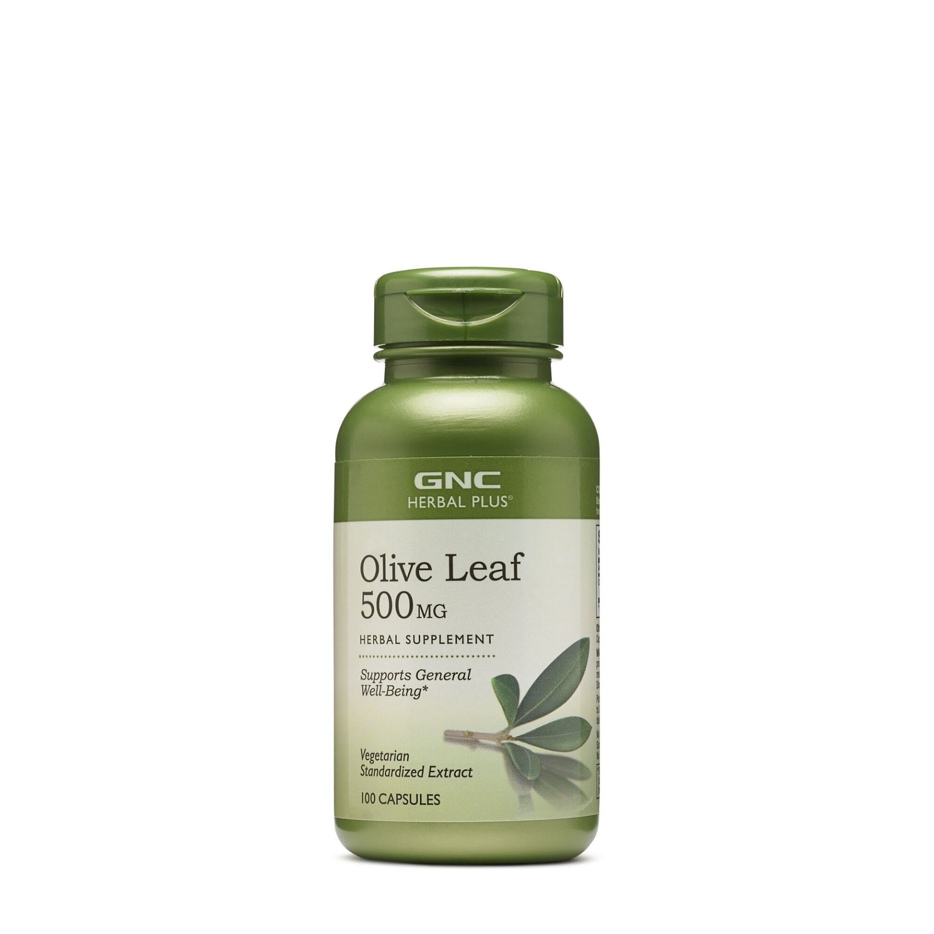 slide 1 of 1, GNC Herbal Plus Olive Leaf 500 mg, 100 ct