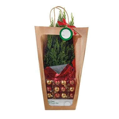 slide 1 of 1, Cypress Tree In A Bag, 1 ct